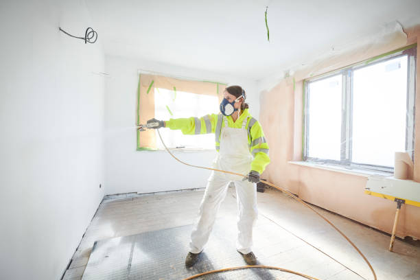 Best Mold Remediation for Vacation Homes  in New Carlisle, OH