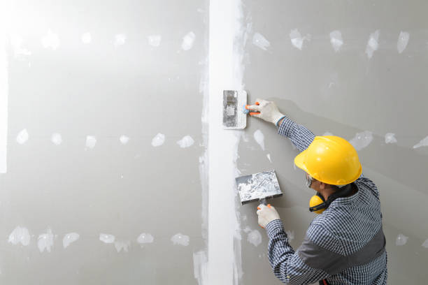 Best Mold Damage Restoration  in New Carlisle, OH