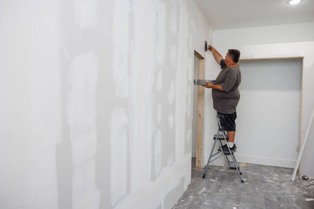 Best Environmental Consulting for Mold Prevention  in New Carlisle, OH