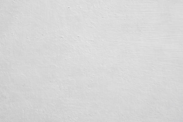 Best Mold Prevention Services  in New Carlisle, OH