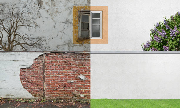 Best Emergency Mold Remediation  in New Carlisle, OH